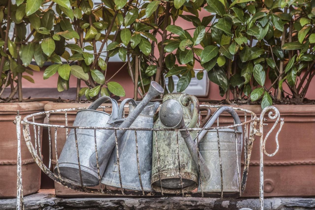 Relais Del Maro Otel Borgomaro Dış mekan fotoğraf